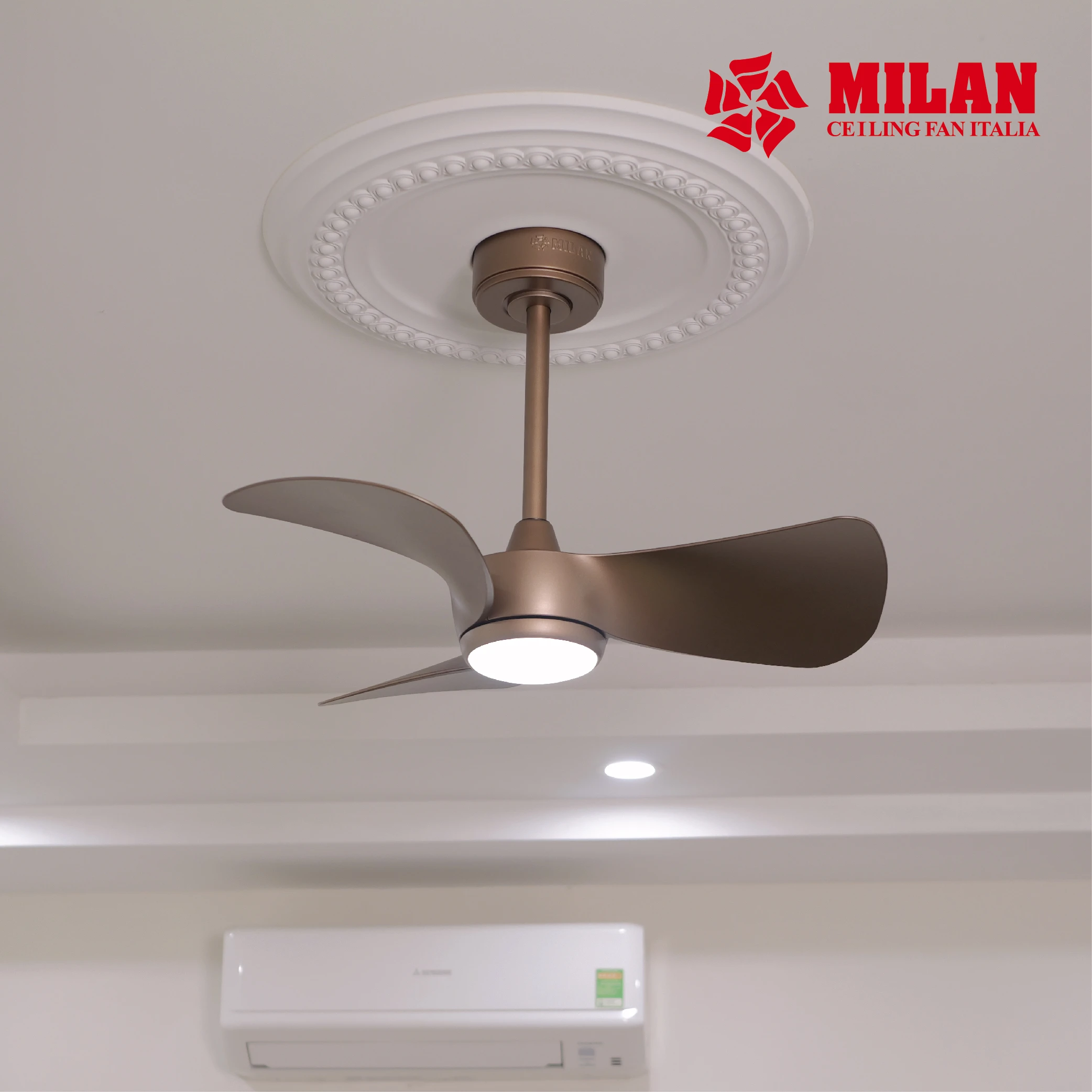 https://quattranitalia.vn/public/storage/product/196/QUẠT TRẦN MILAN_ẢNH WEB 19.3-10.webp